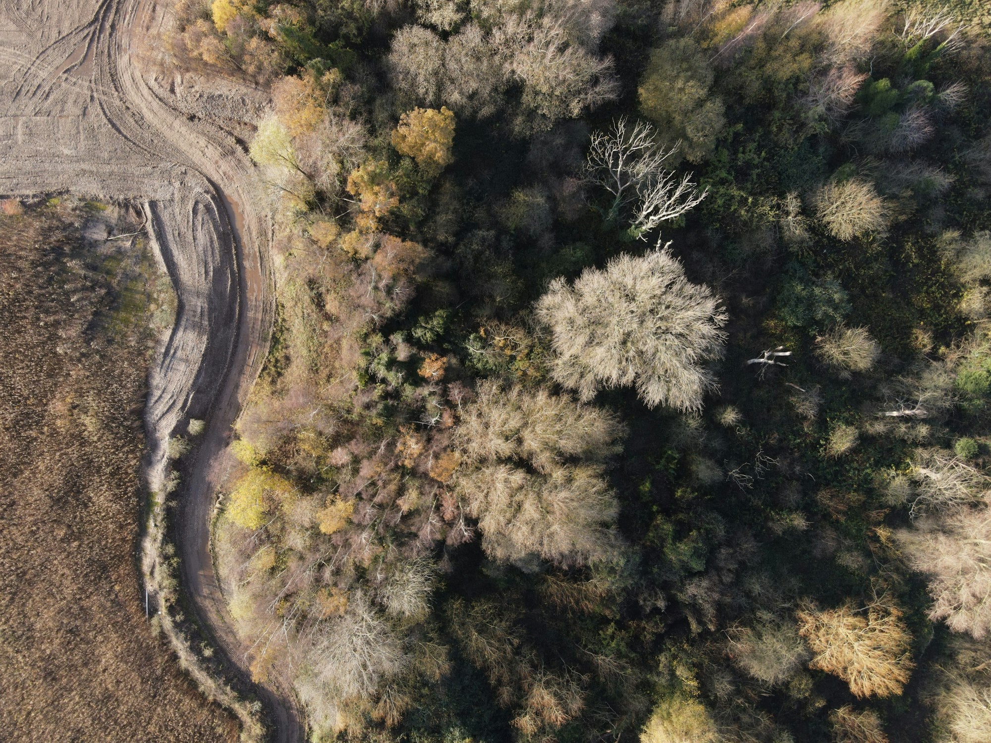 Entre pollution et déforestation, enquête sur le marché du meuble. - Kipli