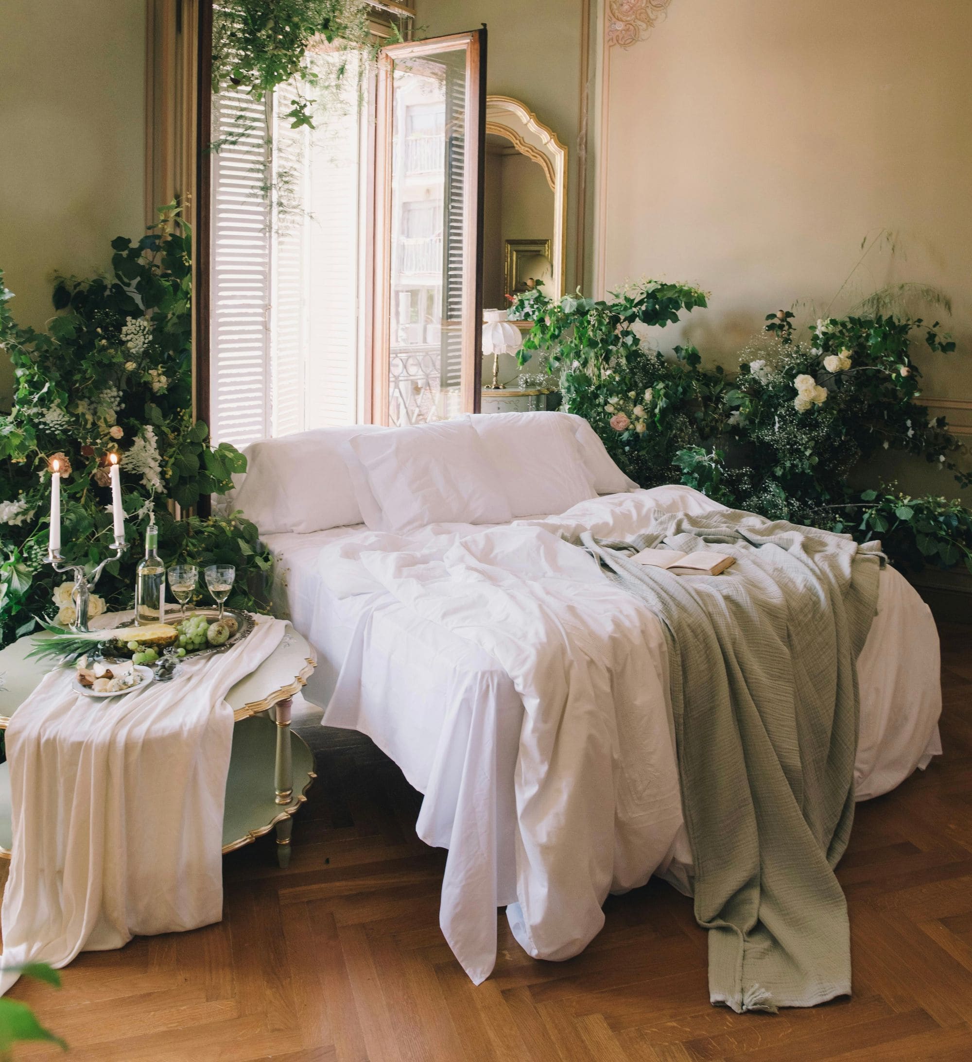 Guide to Houseplants: How to Choose and Care for Them - Kipli