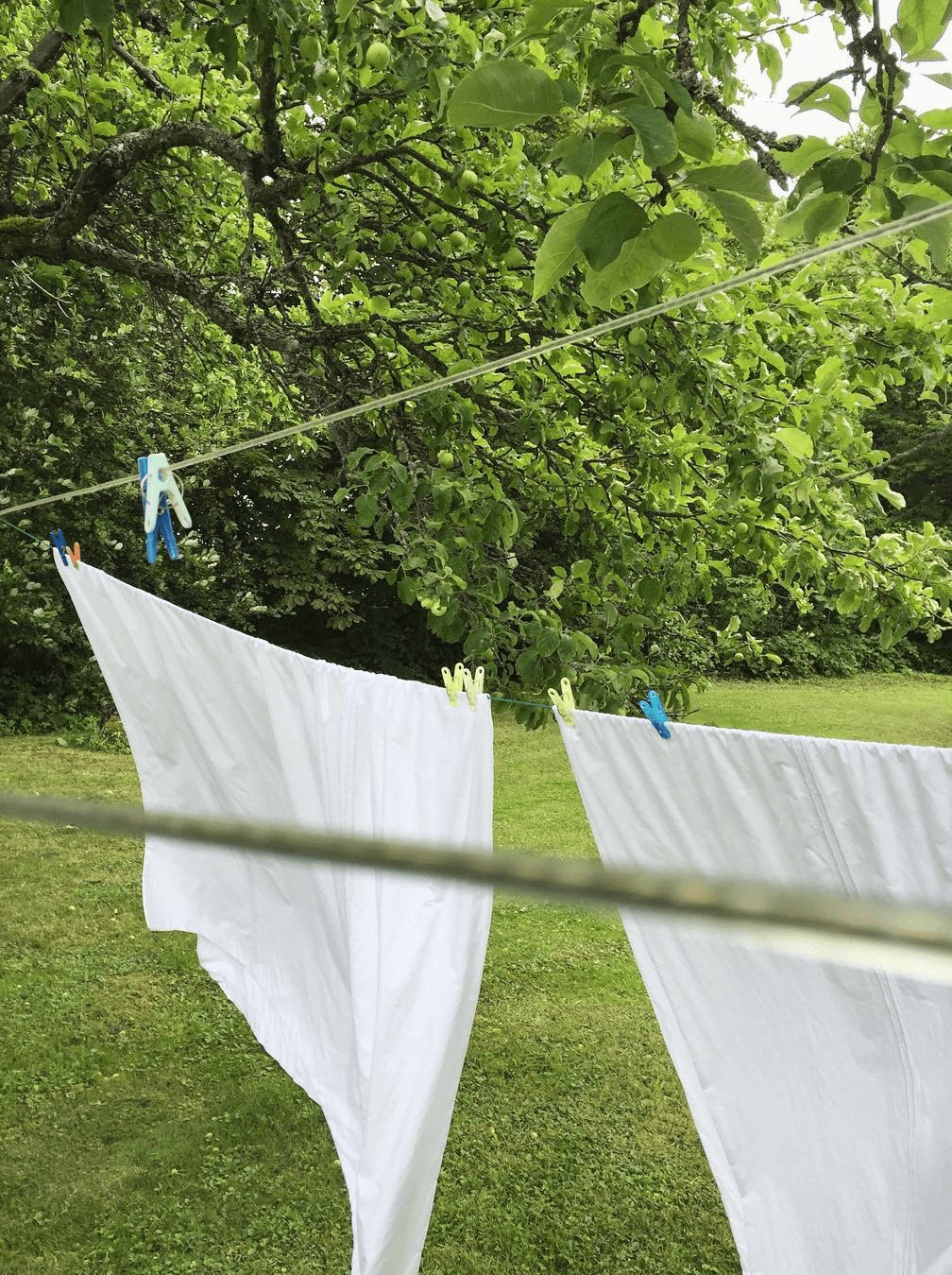 Lençóis brancos de algodão a secar ao ar livre num jardim verdejante, ilustrando uma forma natural e ecológica de cuidar da roupa de casa.