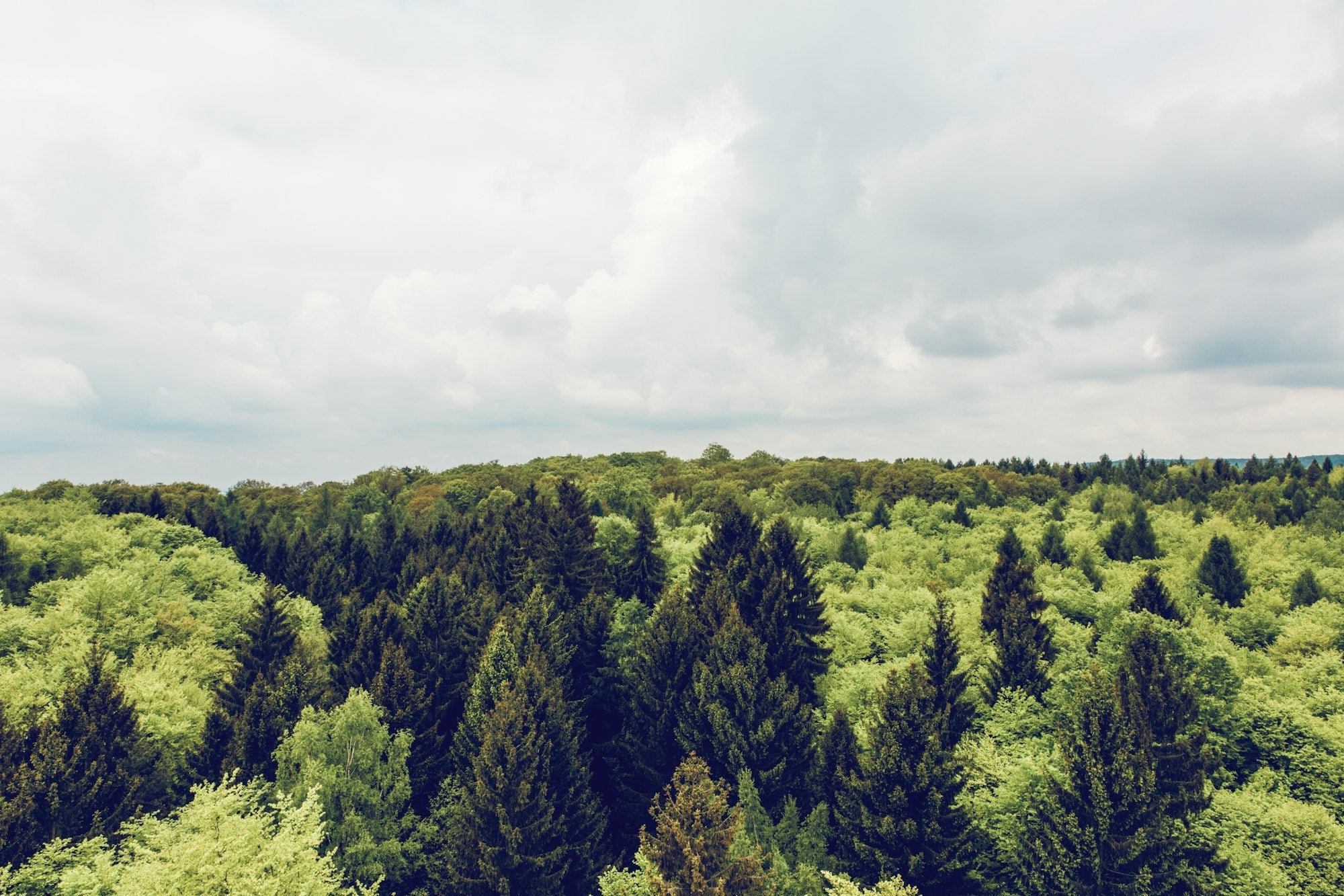 Materasso ecologico: perché e come sceglierlo? - Kipli