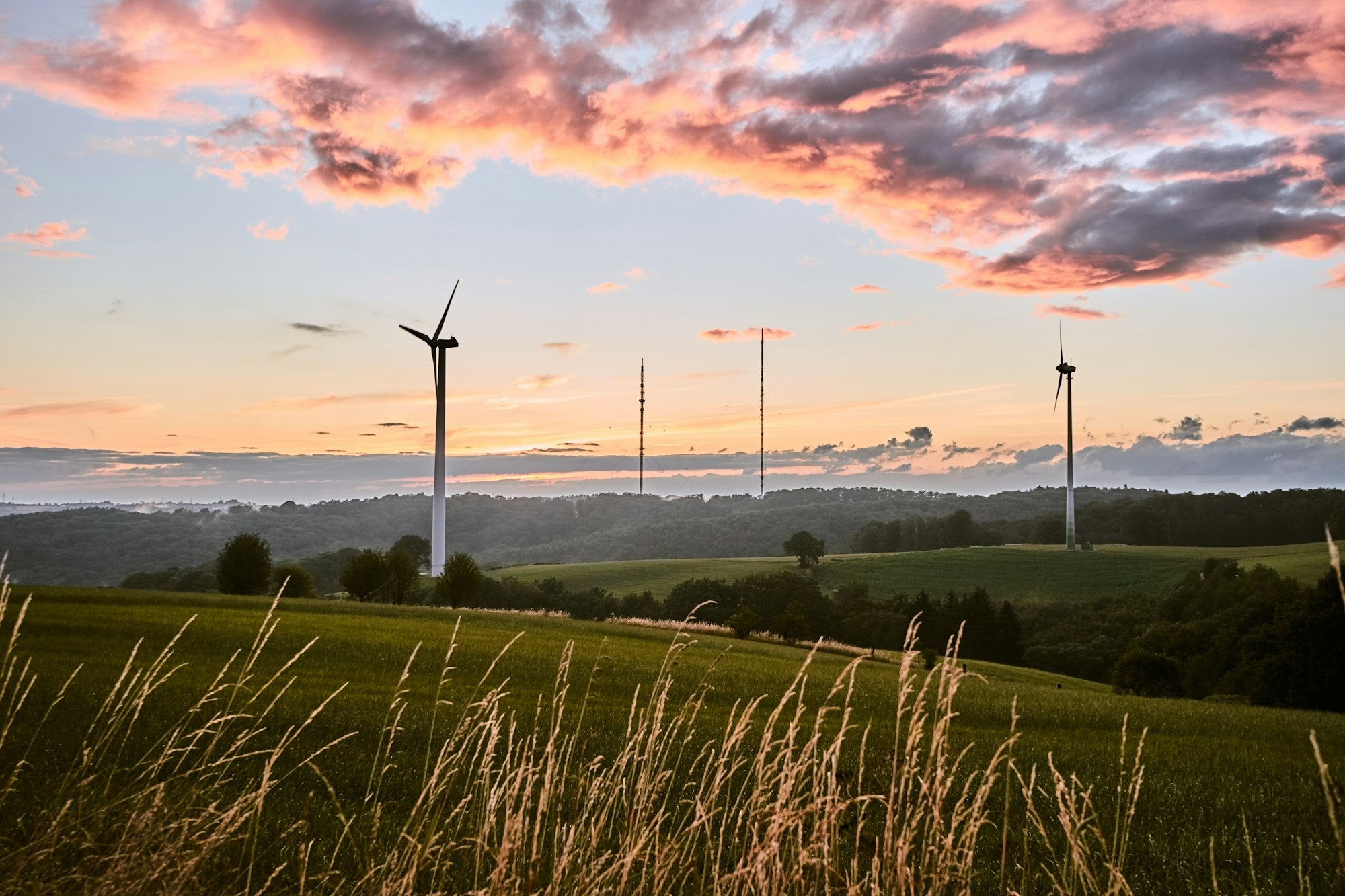 Why Is Simplicity the Best Solution for the Environment? - Kipli
