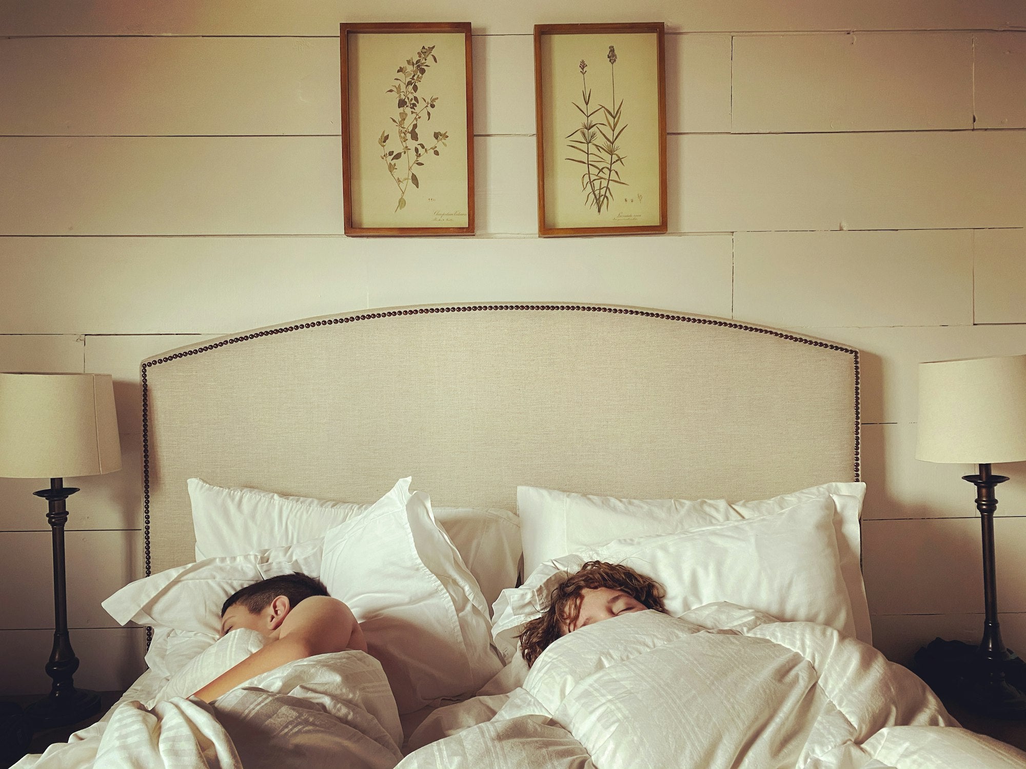 Conselhos e dicas para escolher bem a sua cama - Kipli