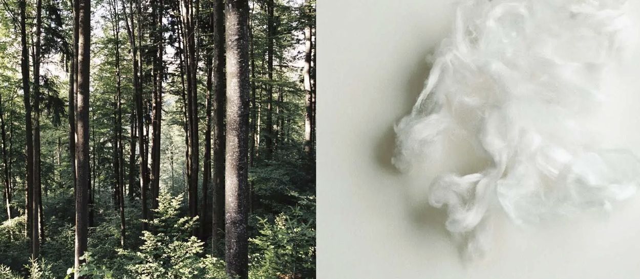 Il Tencel: quella fibra naturale poco conosciuta presente nel vostro piumone - Kipli