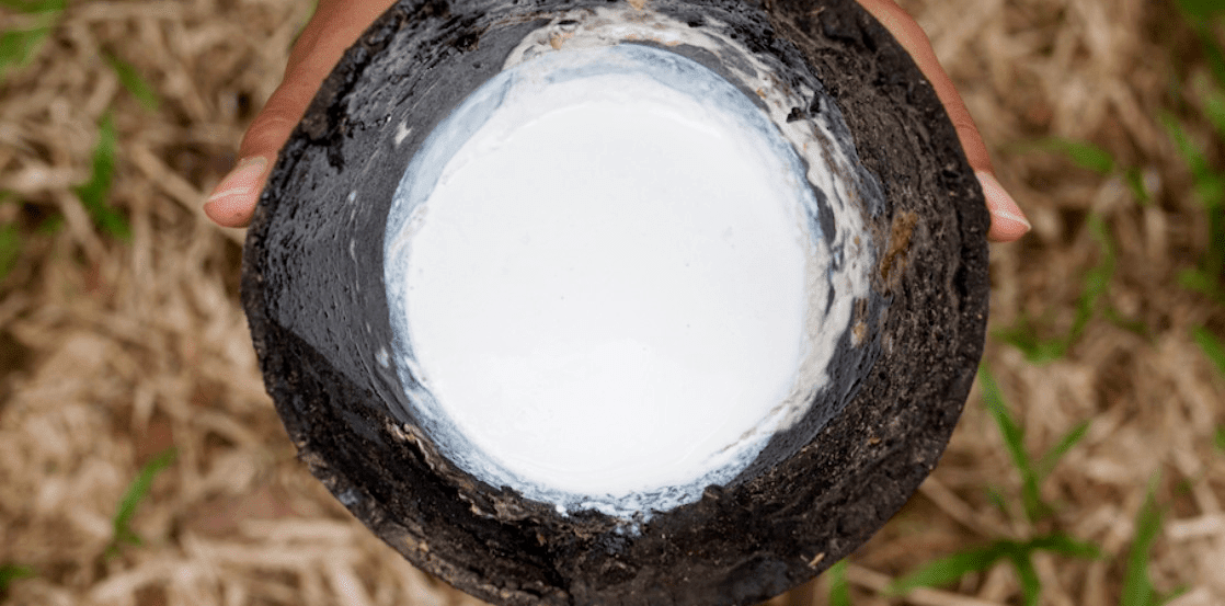 Hvad er naturlatex, og hvad kendetegner det? - Kipli