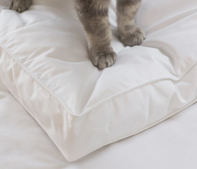 Load video: Feather and down mattress topper